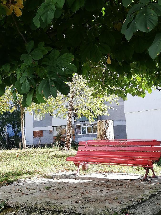 Apartament Langa Castan Apartment Azuga Luaran gambar